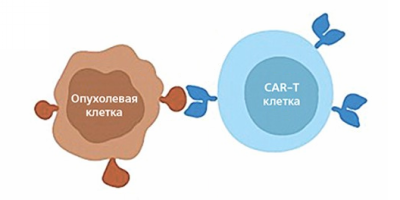 CAR-T cell therapy