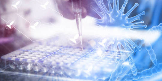 Laboratory of Immunological Research