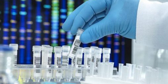 Laboratory of molecular genetic research