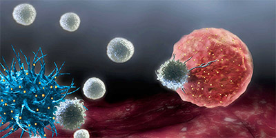 Personalized anticancer vaccines